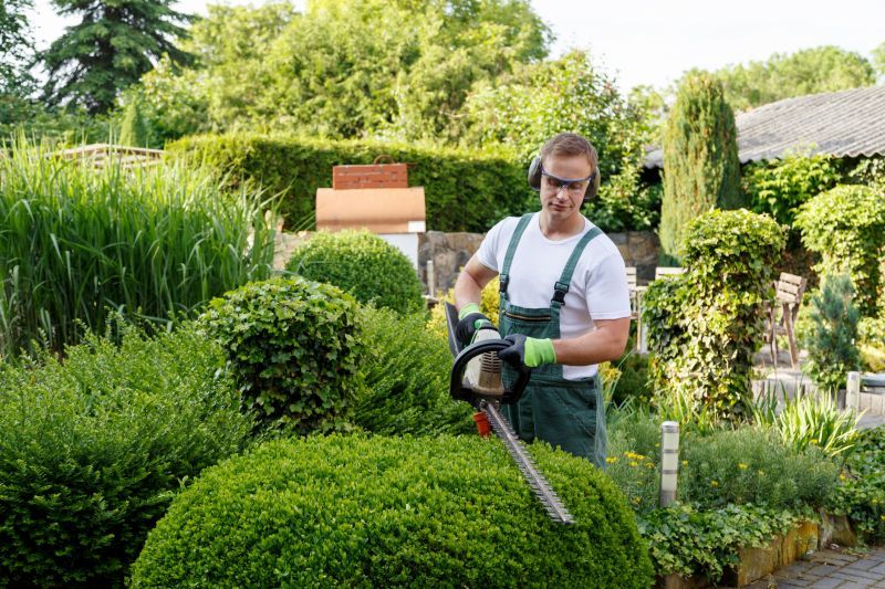 Hedge Shaping Service in Ventura County, CA