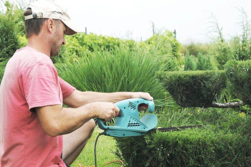 Topiary Shaping in Honolulu, HI