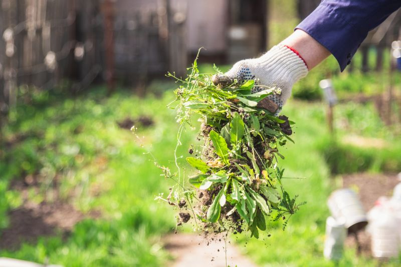 Weeding Service in Honolulu, HI