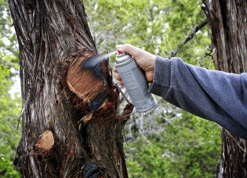 Cedar Tree Pruning in Pottstown, PA