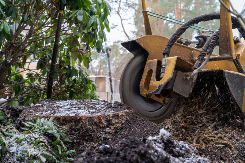 Commercial Stump Grinding in Allentown, PA