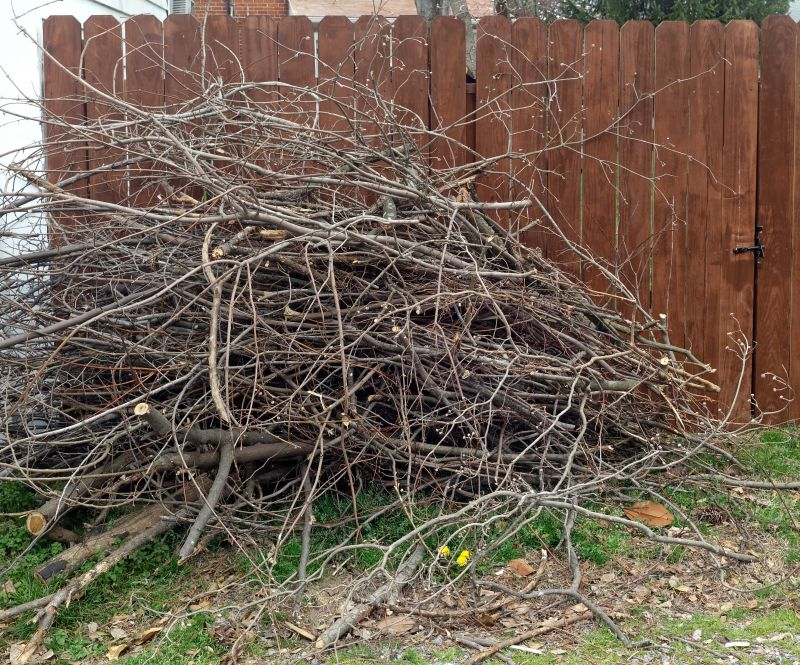 Dead Branch Removal in Doylestown, PA