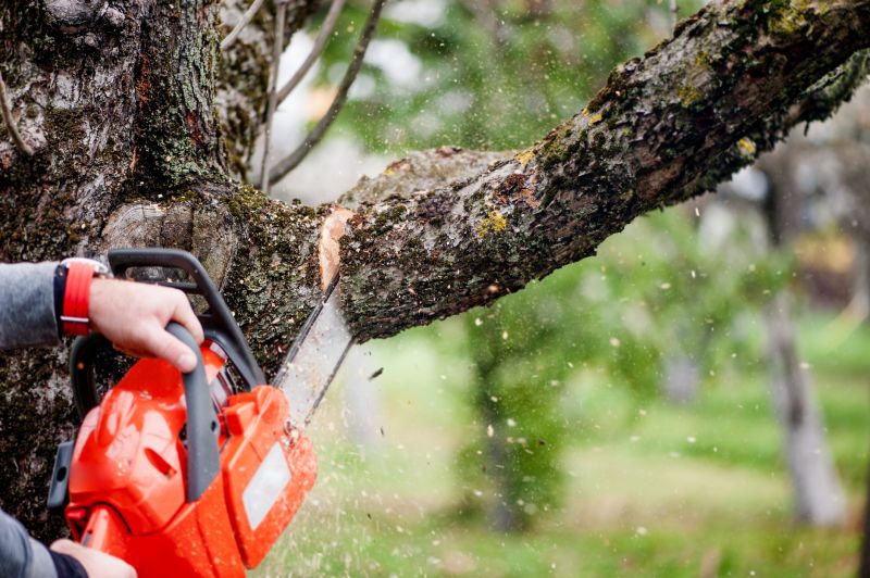 Dead Branch Removal in Doylestown, PA
