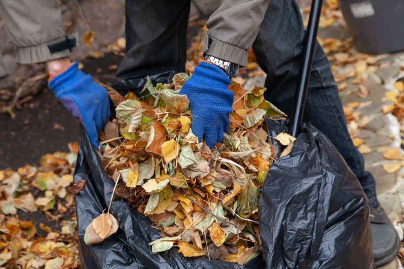 Leaf Bagging