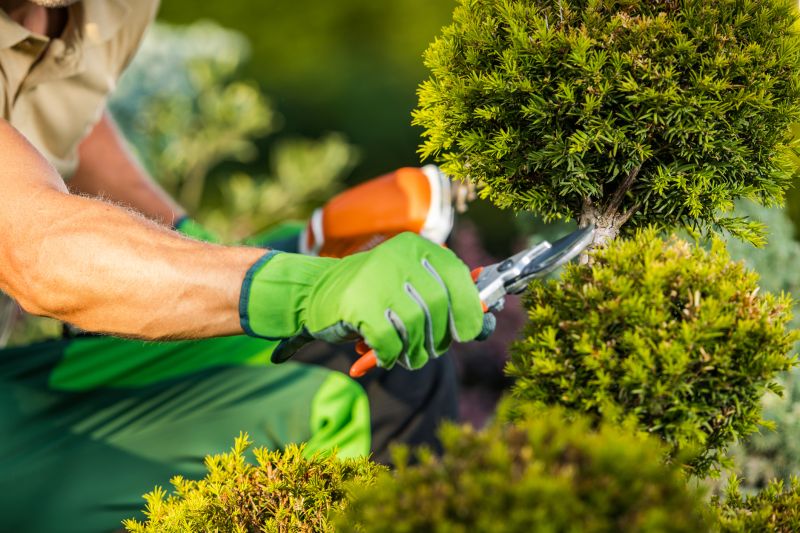 Landscape Pruning Service in Ventura County, CA