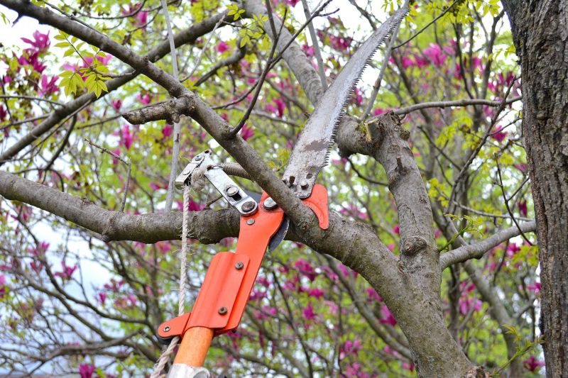 Pruning Equipment