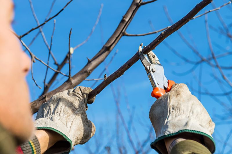 Pruning Tools
