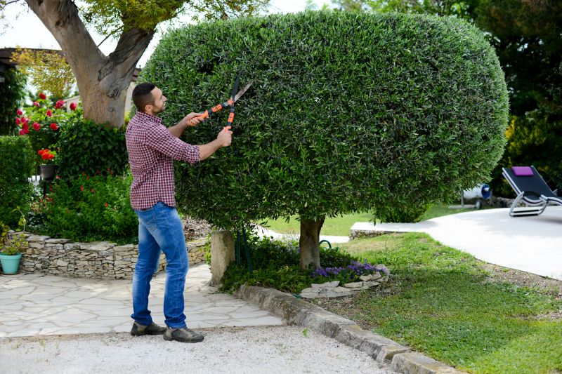 Shrub Shaping in Honolulu, HI