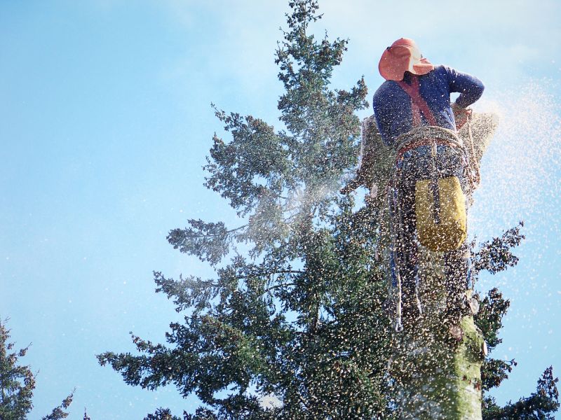 Tree Removal Service in Pottstown, PA