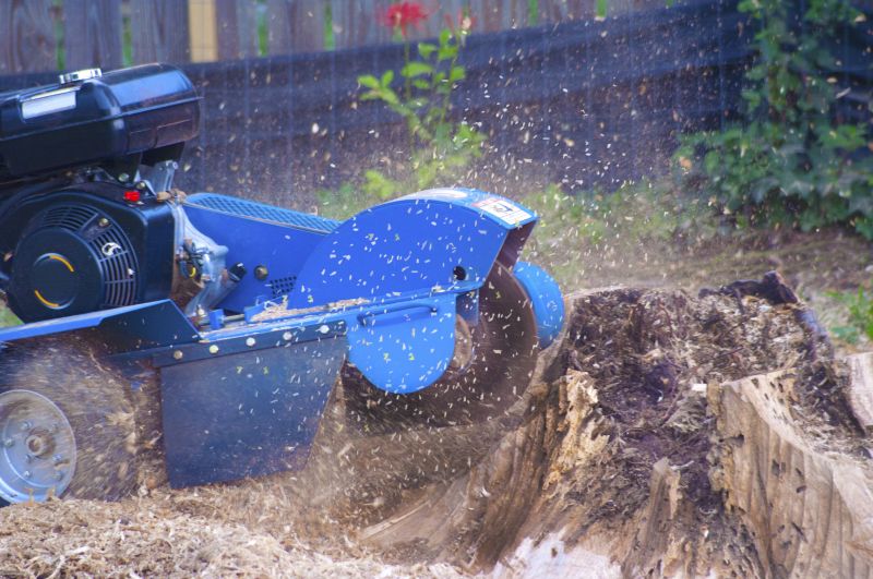 Tree Root Grinding in Aiken, SC